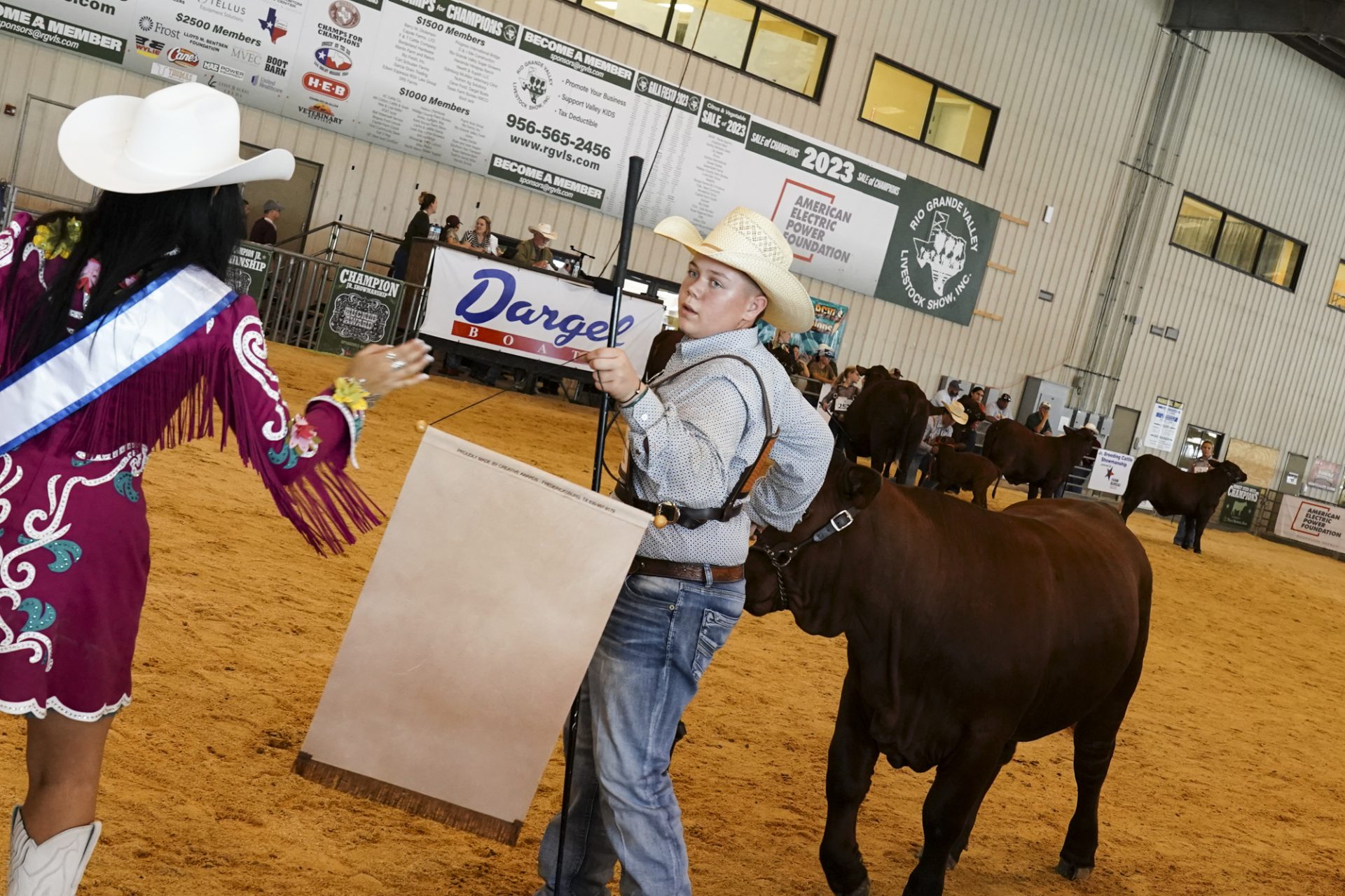 Livestock Show kicks off with heifers, archery contest, good food