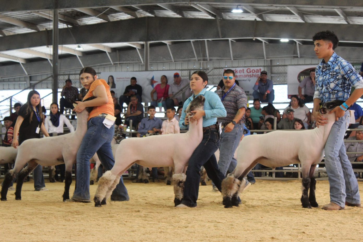 PSJA Memorial High School senior wins big at RGV Livestock Show