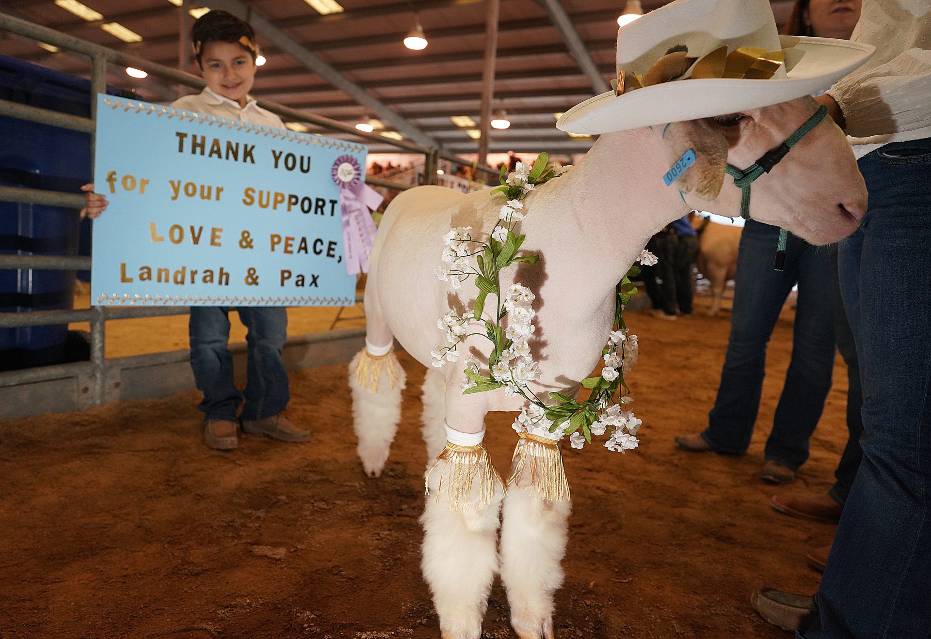 Photo Gallery: RGV Livestock Show Sale of Champions