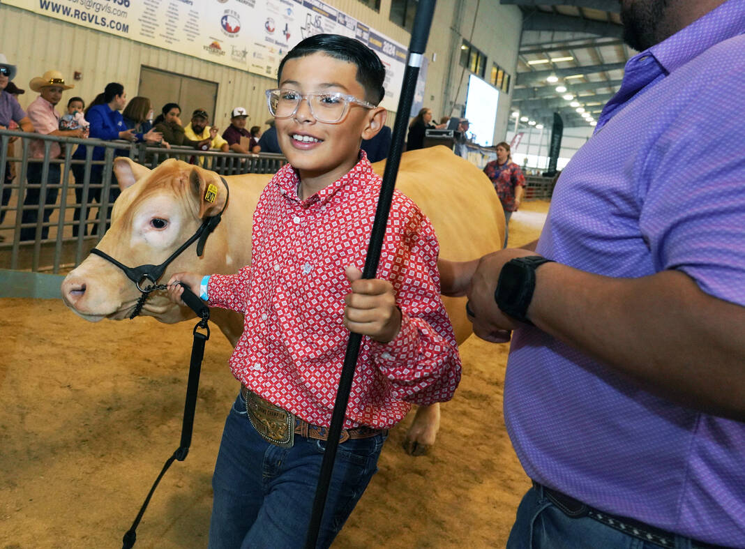 Livestock show kids sell projects for thousands of dollars at Sale of Champions