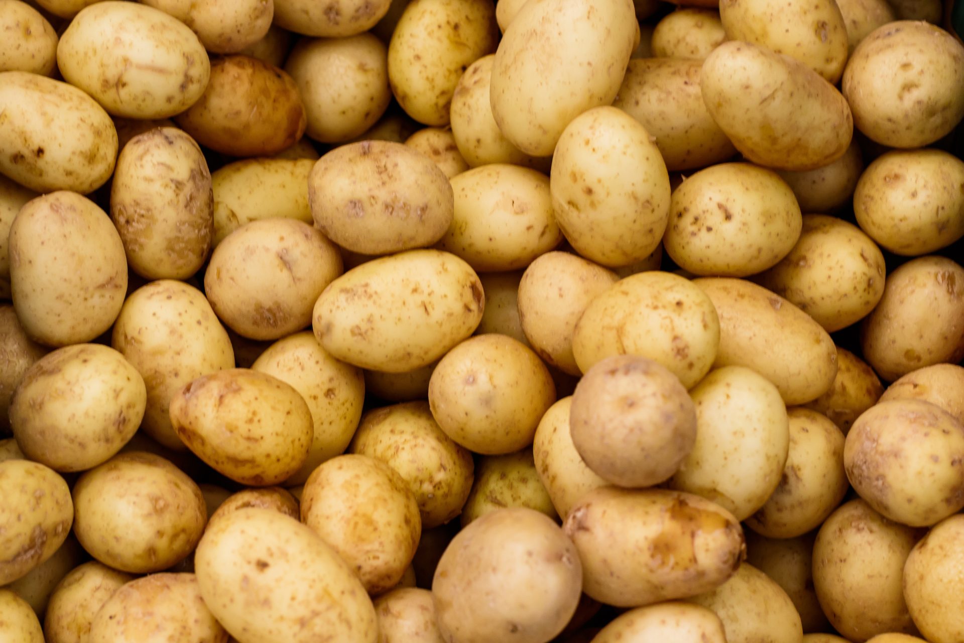 Editorial: On dietary, health issues honesty is the best policy: Potatoes are still vegetables