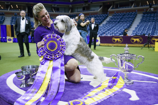 Westminster Kennel Club Dog Show in the current year