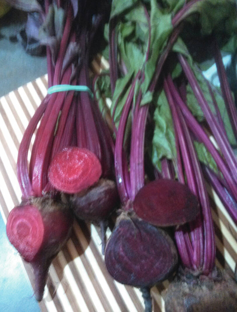 Superfood: Beets are a powerhouse of health benefits