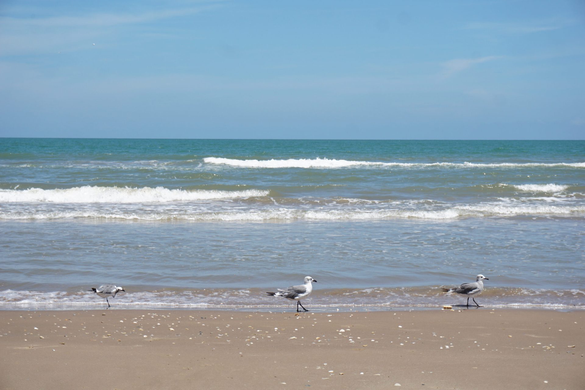 Cameron County beach accesses on SPI, Boca Chica Beach reopen