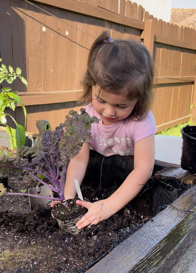 Nature knows best: In the RGV, climate aids in growing own food