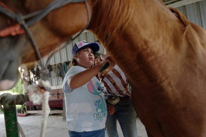 Duck ‘N Stables in San Benito uses animals to improve mental health